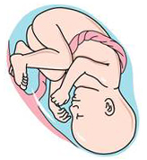 Когда лучше зачать ребенка — основные тонкости планирования беременности